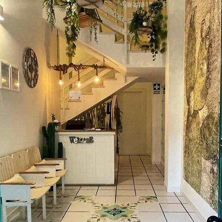 Thalia Guest House 마르자메미 외부 사진